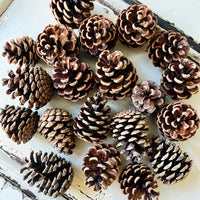 Naturally Dried Local Pine Cones