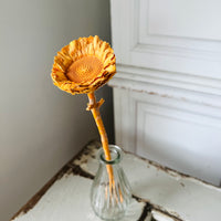 Preserved Dried Protea