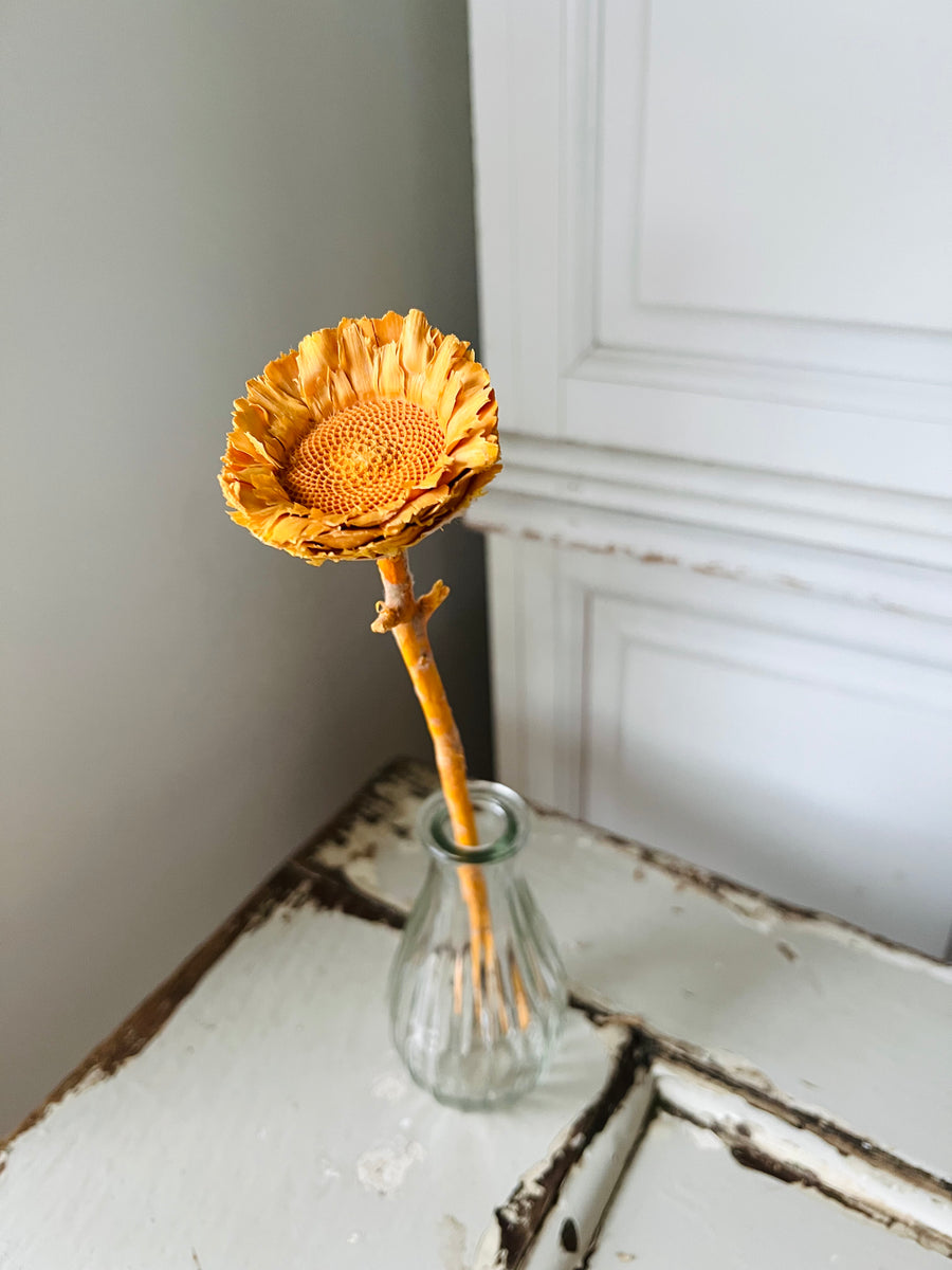 Preserved Dried Protea
