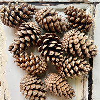 Naturally Dried Local Pine Cones