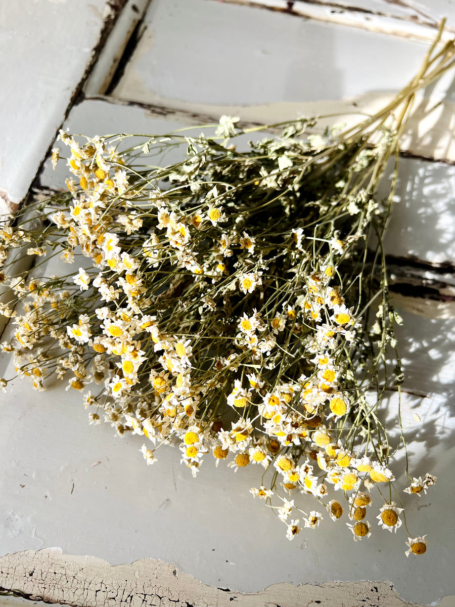 Naturally Dried Camomile - white