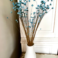 Dried Little Star / Baby Blue / Stardust / Baby Daisy / Star Daisy / Glixia