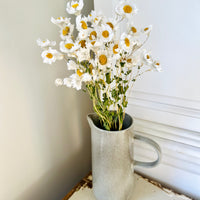 Naturally Dried Rhodanthe Everlasting Daisy