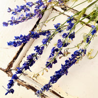 Naturally Dried Larkspur Flowers