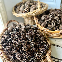Naturally Dried Local Pine Cones
