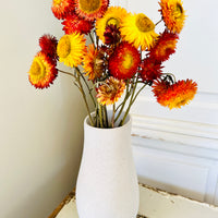 Naturally Dried Strawflower Daisy flower bunch - Helichrysum / Everlasting / Paper Daisy - stems / heads