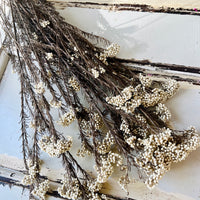 保鲜米花