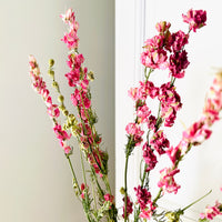 Naturally Dried Larkspur Flowers