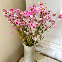 天然干燥的 Rhodanthe 永生雏菊花束