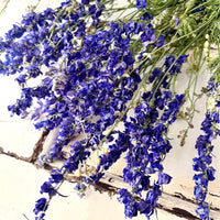 Naturally Dried Delphinium
