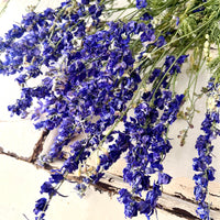 Naturally Dried Larkspur Flowers