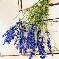 Naturally Dried Larkspur Flowers