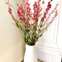 Naturally Dried Larkspur Flowers