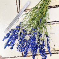 Naturally Dried Larkspur Flowers