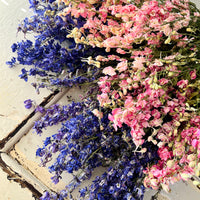 Naturally Dried Larkspur Flowers