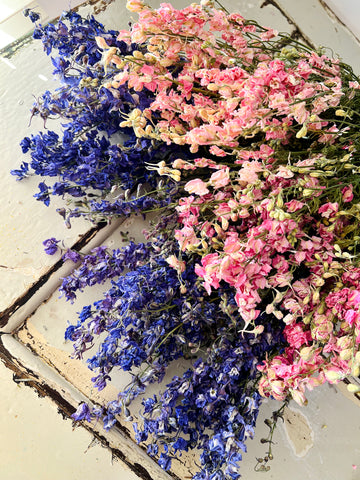 Naturally Dried Larkspur Flowers
