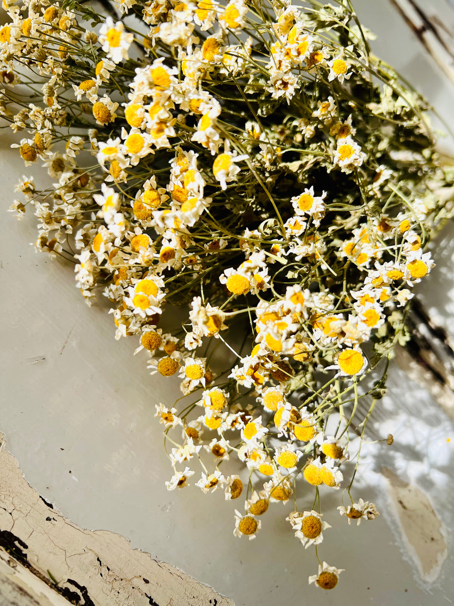 Naturally Dried Camomile - white