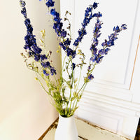 Naturally Dried Larkspur Flowers