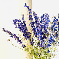 Naturally Dried Larkspur Flowers