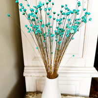 Dried Little Star / Baby Blue / Stardust / Baby Daisy / Star Daisy / Glixia