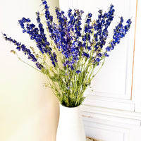 Naturally Dried Larkspur Flowers