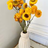 Naturally Dried Strawflower Daisy flower bunch - Helichrysum / Everlasting / Paper Daisy - stems / heads