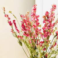 Naturally Dried Larkspur Flowers