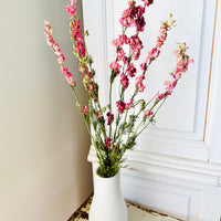 Naturally Dried Larkspur Flowers