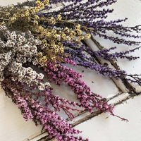 Dried Tea Tree bunch | dried flowers - FLEURI flowers