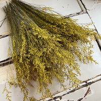 深色保鲜补血草 | 薄雾 | 海薰衣草