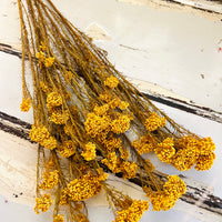 保鲜米花