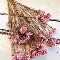 保鲜米花
