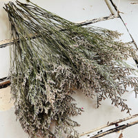 深色保鲜补血草 | 薄雾 | 海薰衣草