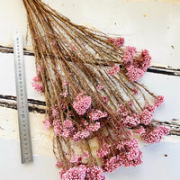 保鲜米花