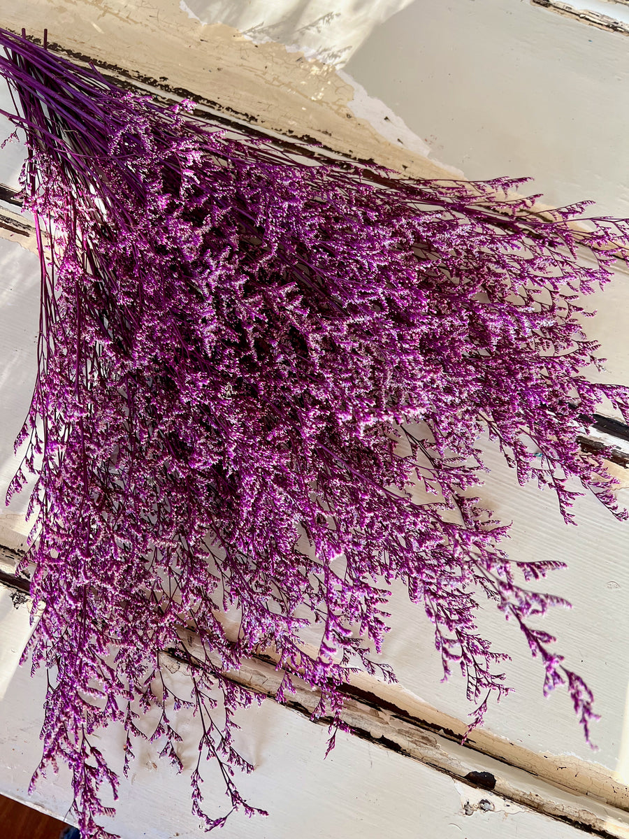 Deep coloured Preserved Limonium | Misty | Sea Lavender