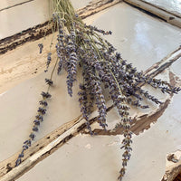 Dried Lavender bunch | dried flowers - FLEURI flowers