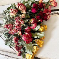 Naturally Dried Spray Rose