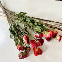 Naturally Dried Rose