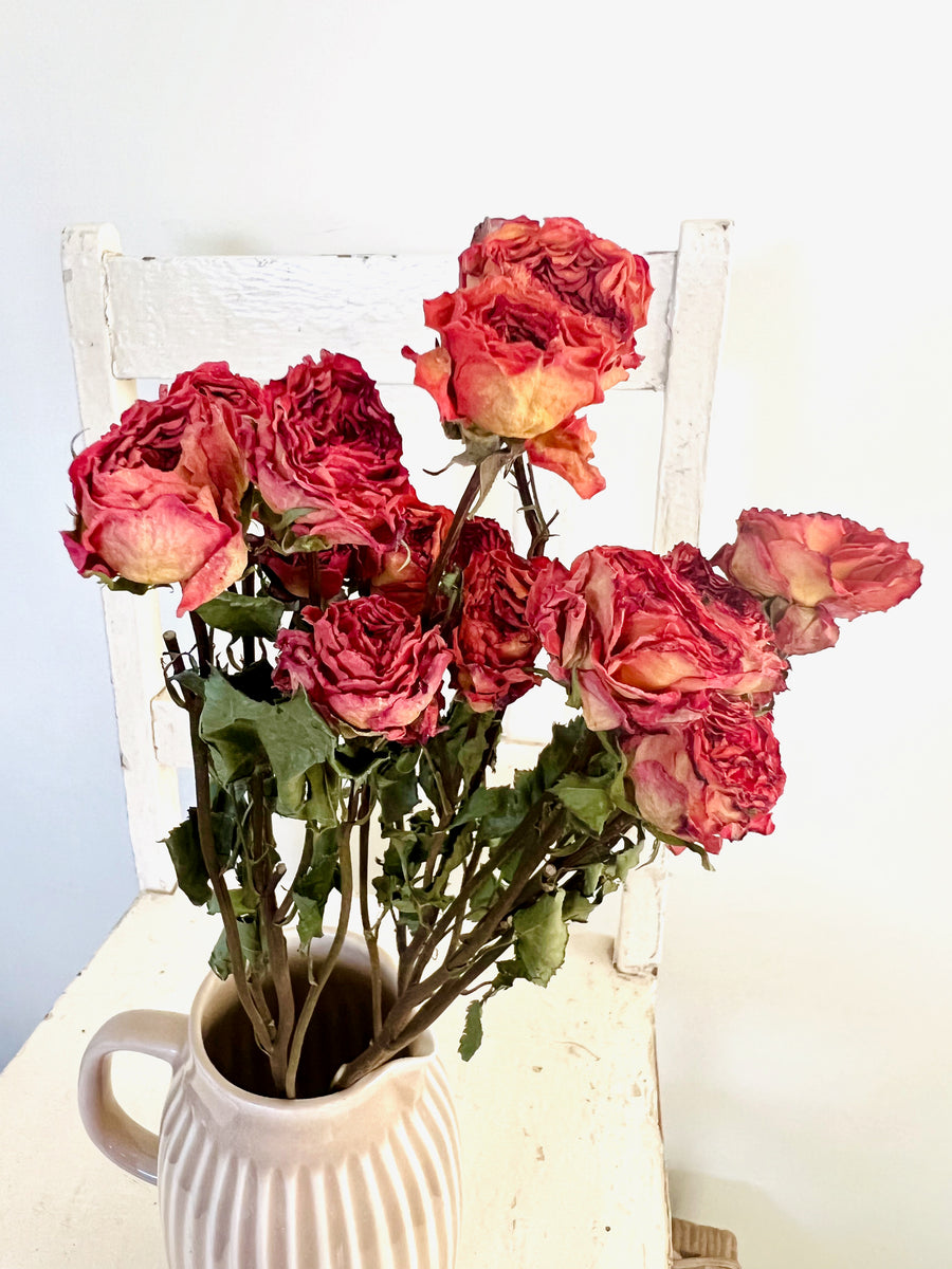 Naturally Dried Rose