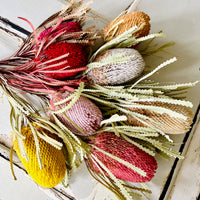 Naturally Dried Banksia & King Protea & Protea - Australian Native