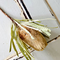 Naturally Dried Banksia & King Protea & Protea - Australian Native