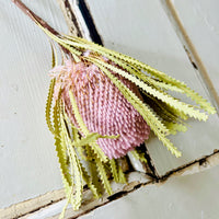 Naturally Dried Banksia & King Protea & Protea - Australian Native