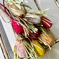 Naturally Dried Banksia & King Protea & Protea - Australian Native