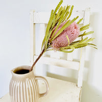 Naturally Dried Banksia & King Protea & Protea - Australian Native