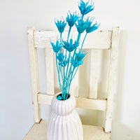 Naturally Dried / Coloured Nigella Flower