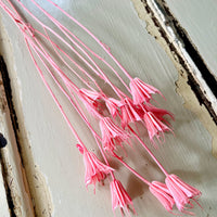Naturally Dried / Coloured Nigella Flower