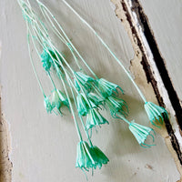 Naturally Dried / Coloured Nigella Flower