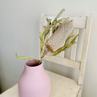 Naturally Dried Banksia & King Protea & Protea - Australian Native