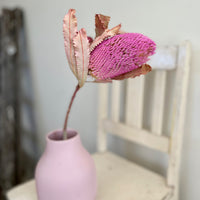 Naturally Dried Banksia & King Protea & Protea - Australian Native