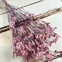 Preserved Crystal Grass / Caspea